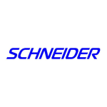 Schneider SCDE302XM Domino &eacute;lectrique Product fiche