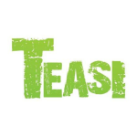 Teasi One v1.0 Manuel utilisateur