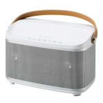 Roberts R-Line R1 Multi-room Stereo Speaker( Rev.1) Bluetooth Radio Mode d'emploi