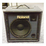 Roland KC-300 Manuel utilisateur