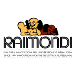 Raimondi Raisteam Manuel utilisateur