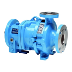 Goulds Pumps 3296 EZMAG Manuel utilisateur