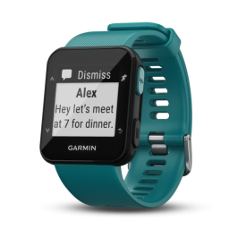 Garmin Forerunner® 30 Manuel utilisateur | Fixfr