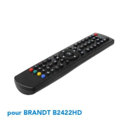 Brandt B2422HD Manuel utilisateur | Fixfr