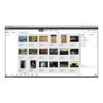 Adobe Elements Organizer 10 Manuel utilisateur