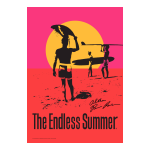 Manuel du propri&eacute;taire Endless Summer WAF3014ES - Foyer ext&eacute;rieur &agrave; bois