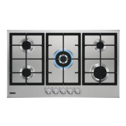 Zanussi ZGH96524XS Manuel utilisateur | Fixfr