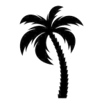 Palm TUNGSTENT Manuel utilisateur