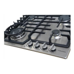 Electrolux EI24EW15KS Notice d'Utilisation + AI Chat