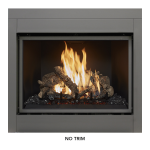 Fireplace Xtrordinair 864 CleanFace Top Vent GSR2 40K Fireplace 2018 Guide d'installation