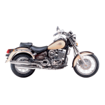 DAELIM Daystar VL125 Moto Manuel utilisateur