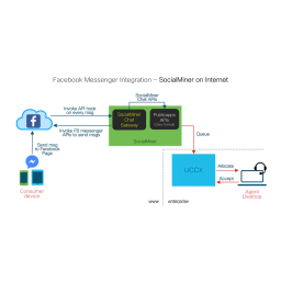 Cisco SocialMiner 11.6(2)  Manuel utilisateur | Fixfr