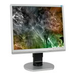 Philips 190B9CS/00 Brilliance Moniteur LCD Manuel utilisateur