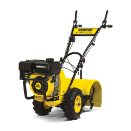 Champion Power Equipment 060-1300-6-100529 Manuel utilisateur | Fixfr
