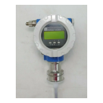 Levelflex M FMP41C : Guide d'utilisation + AI Chat