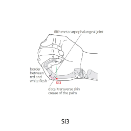 TCM T-AS 3,6-3 Cordless Screwdriver Mode d'emploi | Fixfr
