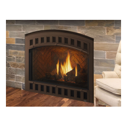 Caliber nXt Gas Fireplace