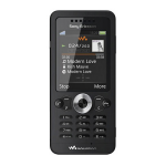 Sony W302 Manuel utilisateur