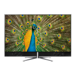 THOMSON 55UA9806 Manuel d'utilisation | AI chat