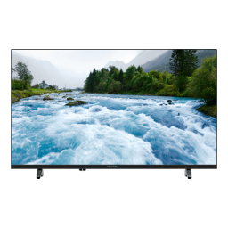 Grundig 32GHB5000 Manuel utilisateur | Fixfr