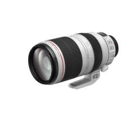 Canon EF 100-400mm f/4.5-5.6L IS II USM Manuel utilisateur | Fixfr