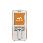 Sony W800i Manuel utilisateur