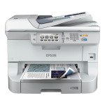 Epson WF-8510DWF Manuel utilisateur