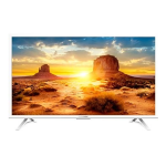 THOMSON 40FA5403W : Manuel d'Utilisateur + Chat IA