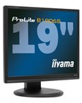 iiyama ProLite B1906S-1: Assistance IA et Téléchargement PDF | Fixfr