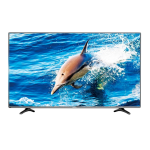 Hisense LTDN40K321UWTSEU Manuel d'utilisation + IA Chat
