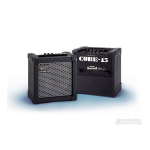 Roland CUBE-15/30: Mode d'emploi + Chat IA et PDF