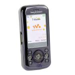 Sony Ericsson W395 Manuel utilisateur
