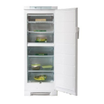 Electrolux AUC 25391 W Notice d'utilisation | AI Chat &amp; PDF Access
