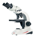 Leica Microsystems DM300 Upright Microscopes Manuel utilisateur