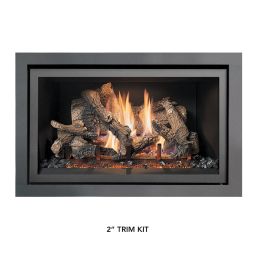 Fireplace Xtrordinair 564 TV 35K Gas Fireplace (FPX) 2020 Guide d'installation | Fixfr