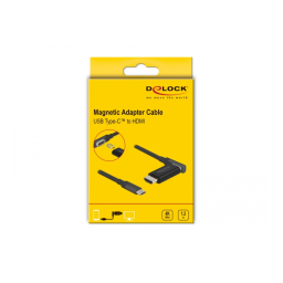 Delock 66685 Adaptateur USB-C vers HDMI | AI Chat + PDF | Fixfr