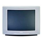 Philips 21PT5304 T&eacute;l&eacute;viseur : Assistance IA et PDF