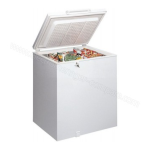 LADEN HF1204 Freezer Manuel utilisateur