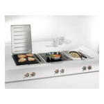 Gaggenau VR 421-611 Gril Encastrable : AI Chat &amp; PDF