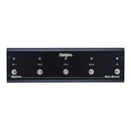 Mesa/Boogie Dual Triple Rectifier Manuel utilisateur | Fixfr