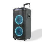 Denver TSP-450 Dual 10&rdquo; trolley speaker Manuel utilisateur