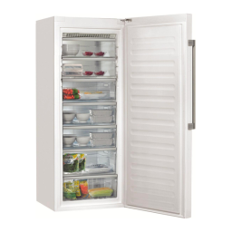 Bauknecht GKNE 1770 A++ Freezer Manuel utilisateur | Fixfr