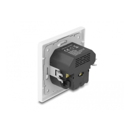 DeLOCK 11489 Wall Socket Fiche technique | Fixfr