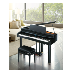 Roland RG-1 : Mode d'emploi avec IA et PDF