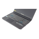 Acer Predator PT315-51 Notebook Manuel utilisateur