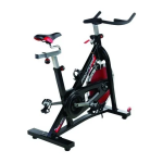 ProForm 290 SPX SPINNER BIKE Manuel utilisateur