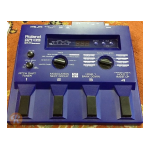 Roland GR-09 Manuel utilisateur