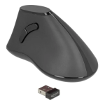 DeLOCK 12622 Ergonomic vertical optical 5-button mouse 2.4 GHz wireless - Silent Fiche technique