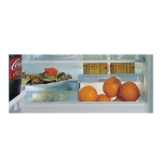 Bauknecht UVI 1950 LH2 Refrigerator Manuel utilisateur