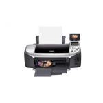 Epson Stylus Photo R300: Installation + AI Chat